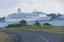 Birding Pipeline Road from Amador Cruise Port