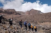 8 Days Hiking and Camping Machame Route in Moshi