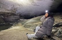 Castner Glacier Ice Cave Adventure from Fairbanks 