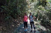 Forest Research Institute Malaysia FRIM Rainforest Private Tour 