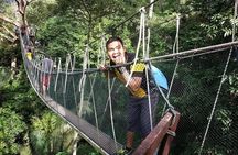 Forest Research Institute Malaysia FRIM Rainforest Private Tour 