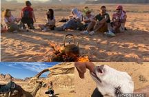 Wadi Rum Full Day Desert and Farm Tour