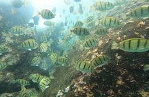 Snorkel Privately in Cabo San Lucas 