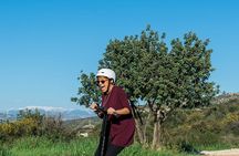 Half Day Kouklia Village Tour on Segway
