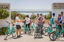 Guided Bike Tour of Carthage Archeological Site in Tunisia