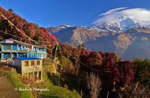 5 Days Ghorepani Poonhill Trek