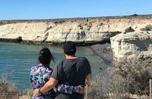 City Tour and Sea Lions at Punta Loma from Puerto Madryn