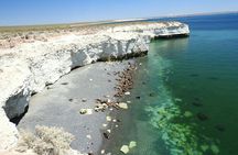 City Tour and Sea Lions at Punta Loma from Puerto Madryn