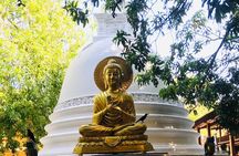 8 Days Private Vacation in Sri Lanka