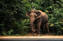 8 Days Private Vacation in Sri Lanka