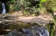 Private Guided Waterfall Hike Rainforest Adventure