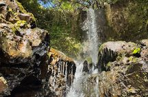 Private Guided Waterfall Hike Rainforest Adventure