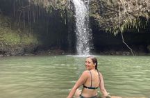 Private Guided Waterfall Hike Rainforest Adventure