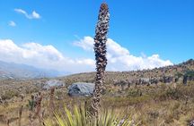 The biggest paramo on earth: Sumapaz