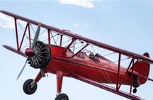 Fly Over the Vineyards of Mendoza