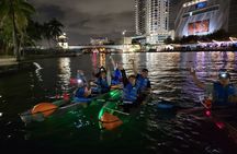 LED Light Kayak Miami City Lights Tour