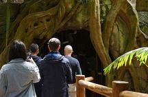 Daytime Scenic Rim Glow Worm Tour + Hop on Hop off Bus