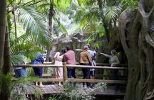Daytime Scenic Rim Glow Worm Tour + Hop on Hop off Bus