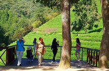 Discover Western Korea in 4days: All-Inclusive Experience