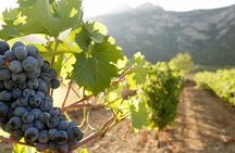 Day Trip to Nemea Winery & Nafplio
