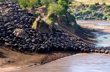 Big five & Birds Paradise 4 Day Masai Mara -Lake Naivasha
