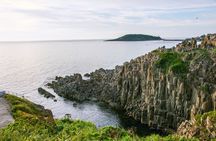 Fukui private full day/Photoshoot by professional photographer