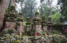 Private Half- Day Tour in Wakayama Koyasan