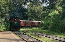 Ella Private Day Tour - Departing from Any Location in Sri Lanka
