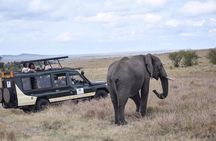 6 Day Nairobi-Amboseli-Maasai Mara Private Semi Luxury Tour