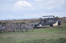 6 Day Nairobi-Amboseli-Maasai Mara Private Semi Luxury Tour