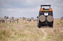 6 Day Nairobi-Amboseli-Maasai Mara Private Semi Luxury Tour