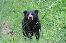 3 Days Jungle Safari in Chitwan National Park