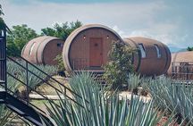 Private Tequila Tour in Guadalajara
