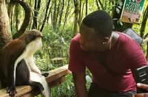 2-Day Dynamic Lagos Discovery Tour From Makoko To Lekki