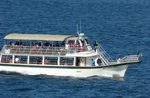 Harbor Lights and Sights Cruise