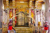 All Inclusive Kandy Private Day Tour From Colombo and Negombo