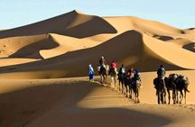 Basic Desert 3 Days 2 Nights from to Marrakesh