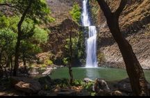 Private Guided Tour to Tapalpa with Transportation