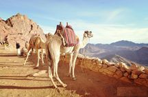 Moses Mount Tour from Sharm elsheikh