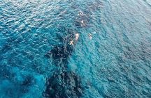 Get to know heaven on earth with Chivis del mar private