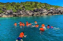  1 Day Discover Cham Island and Snorkeling