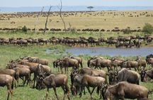 Nairobi National Park Safari With a Visit to Giraffe Center.