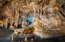 Half Day Tour to Dinosaur Land in Mallorca