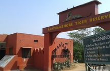 Private Day Trip to Ranthambore Tiger Reserve from Jaipur