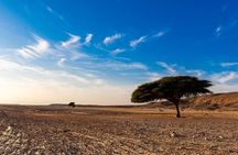 Luxury Sunset Safari to the Oasis & Starlit Dinner from Hurghada