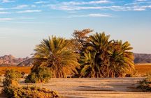 Luxury Sunset Safari to the Oasis & Starlit Dinner from Hurghada