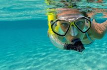 Snorkel Fort Lauderdale Jean Cousteaus Reef and Snorkel Trail