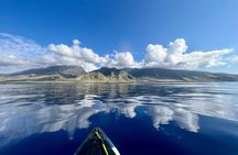 Kayak Whale Watch