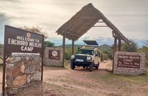 3 Days Masai Mara Budget Safari