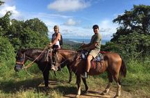 Alanya Horse Riding Experience With Free Hotel Transfer